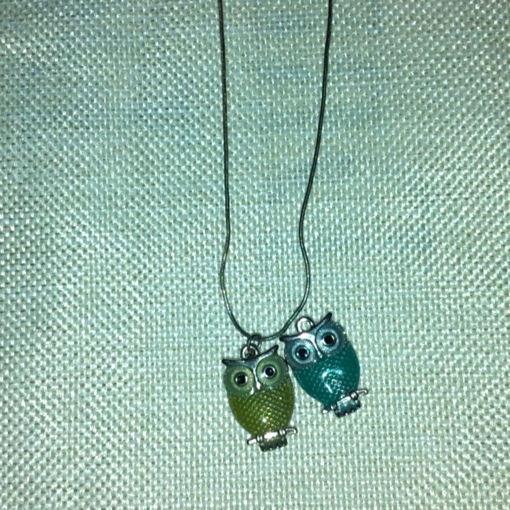 Pretty 2 owl necklace.